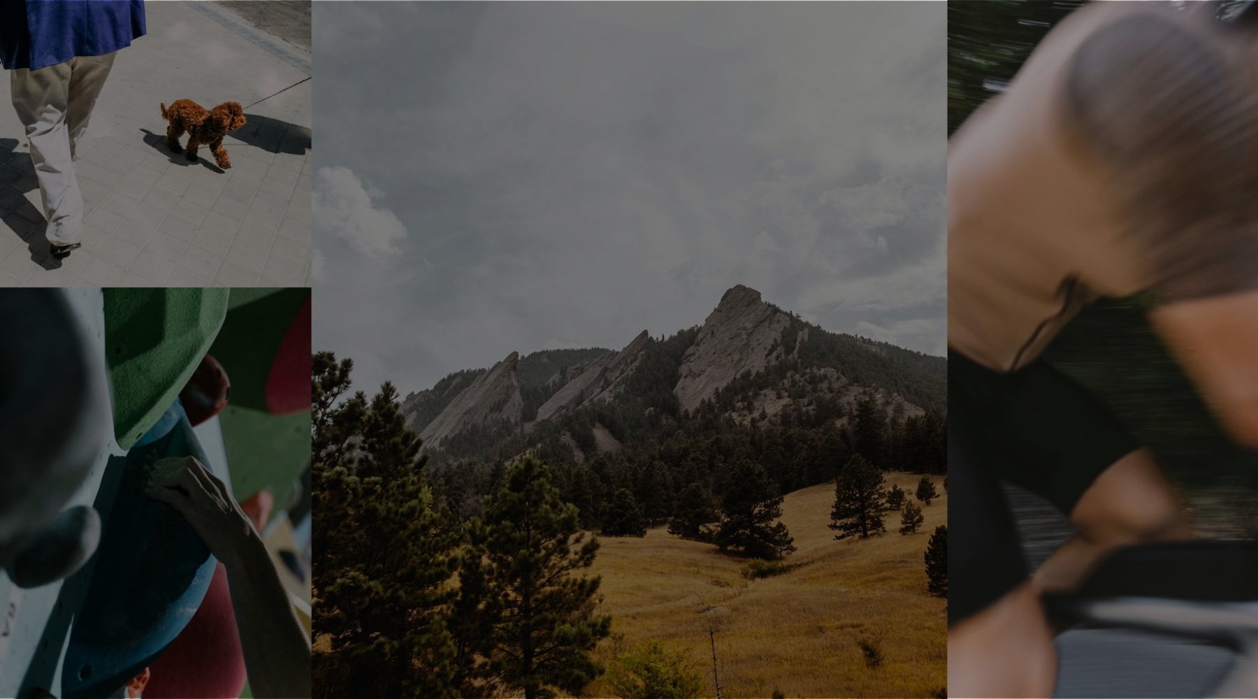 collage of active lifestyles