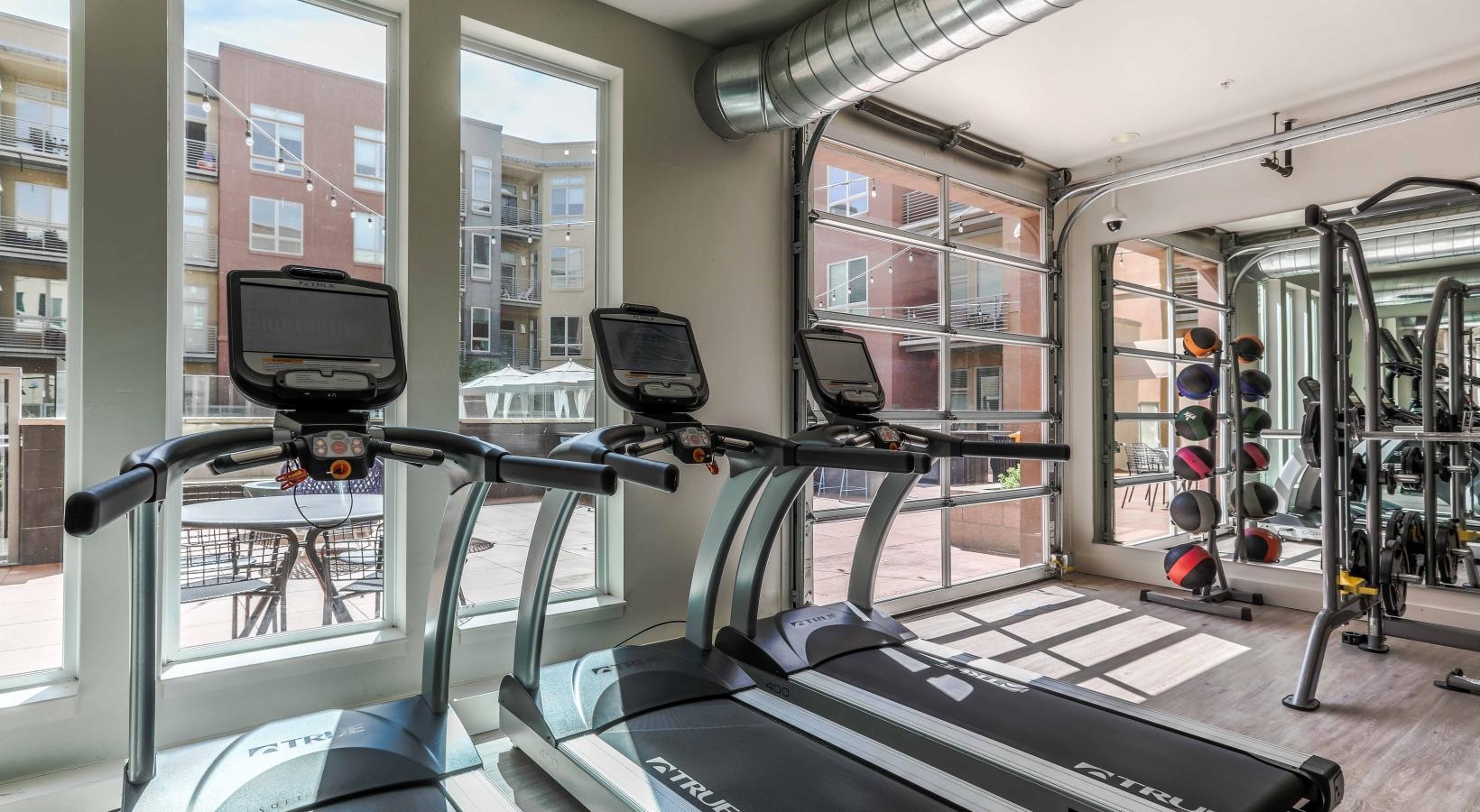 Get your workout on a gym with exercise equipment